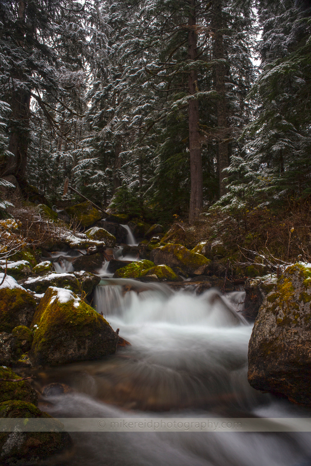 Winter Frozen Creek